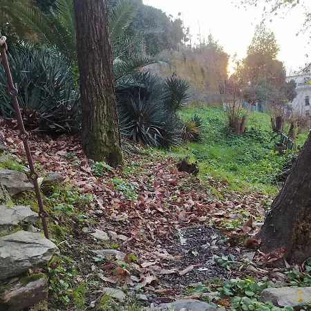 Casa Tilly Apartament *